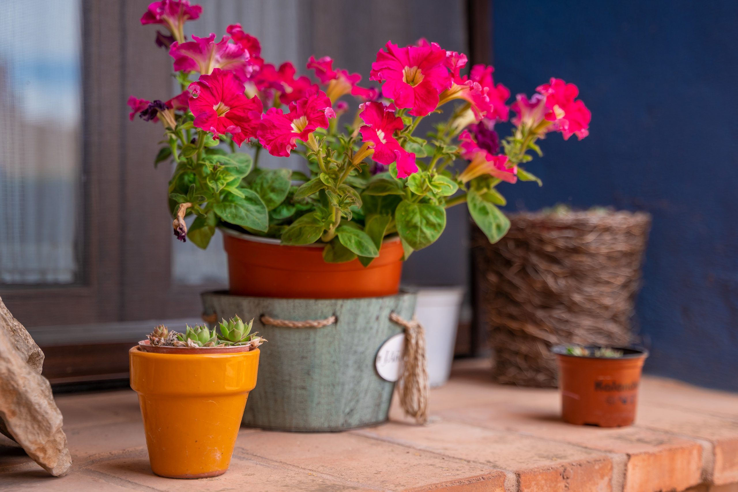 La Carretería Casa rural - foto zona común