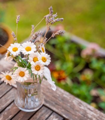 Casa Rural La Carretería - foto de exterior